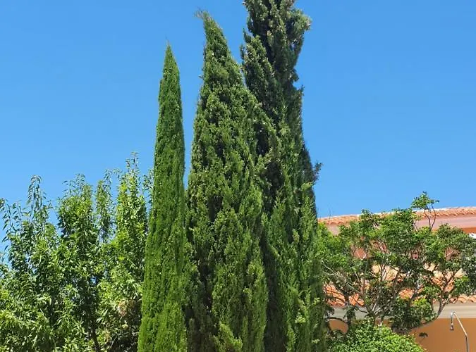 Cresta Azul * Antas
