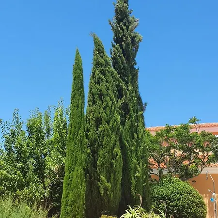 Cresta Azul * Antas